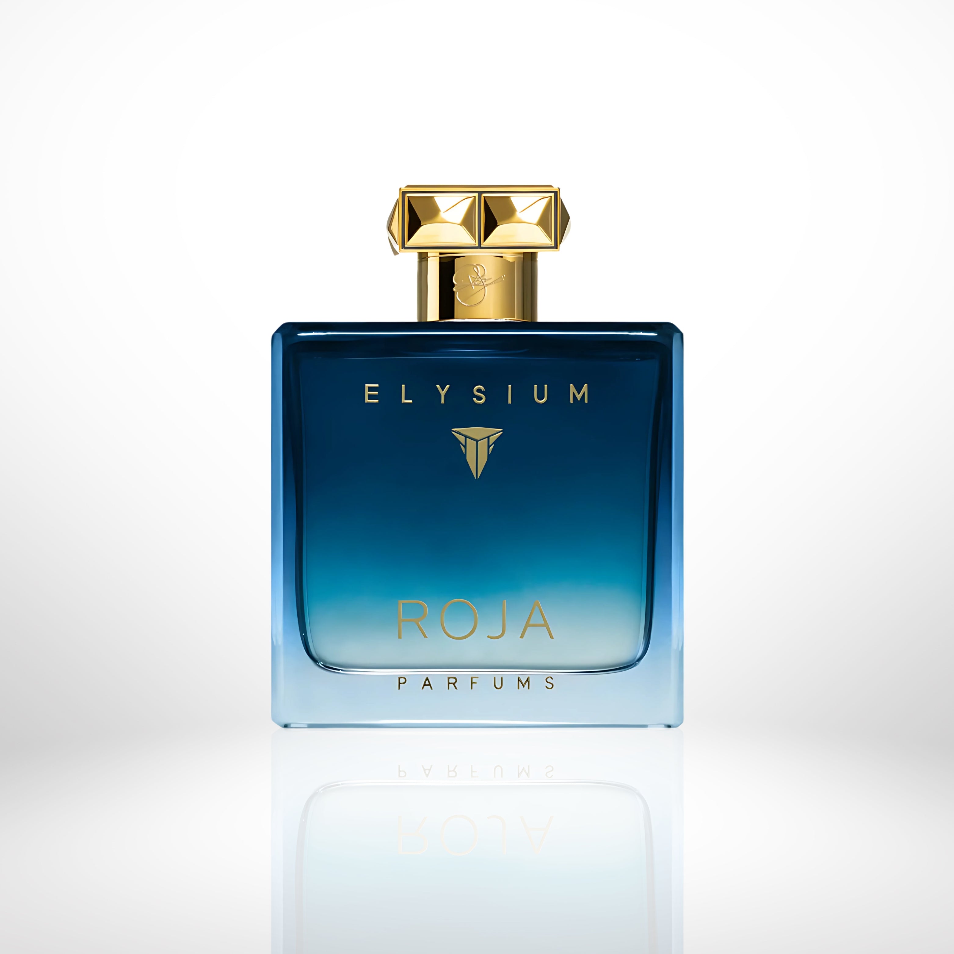 Roja Elysium Pour Homme Inspired – Perfume Plus